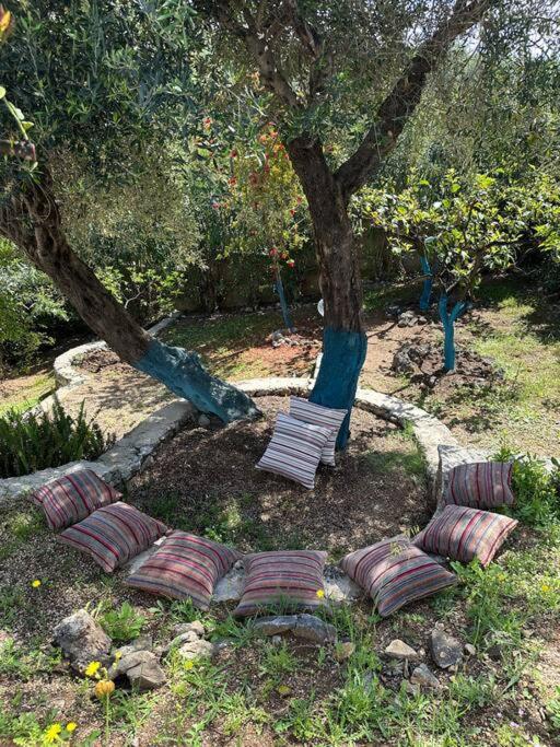 Mount Minis - Casa Bruno Villa ซิโวตา ภายนอก รูปภาพ